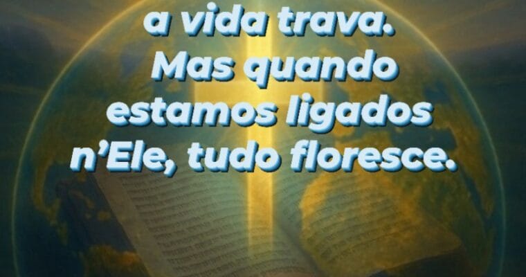 O Planeta Cristão declara: Fernandópolis será a banda larga da Palavra Deus para as nações.”